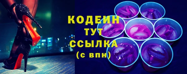 ECSTASY Алзамай