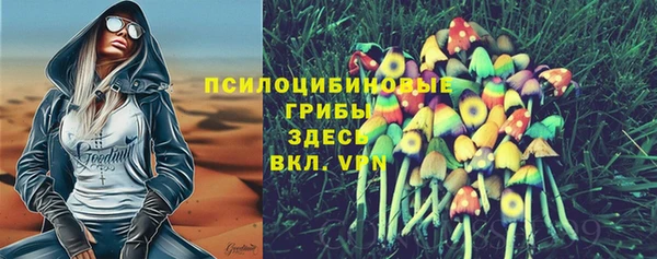 метадон Алексин