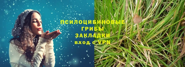 метадон Алексин