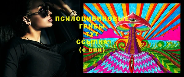 ECSTASY Алзамай
