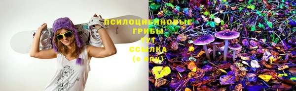 не бодяженный Абаза